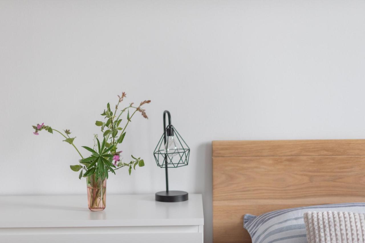 Destne Apartmany Destne v Orlickych horach Ngoại thất bức ảnh
