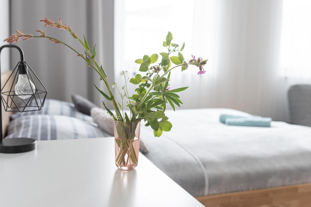 Destne Apartmany Destne v Orlickych horach Ngoại thất bức ảnh